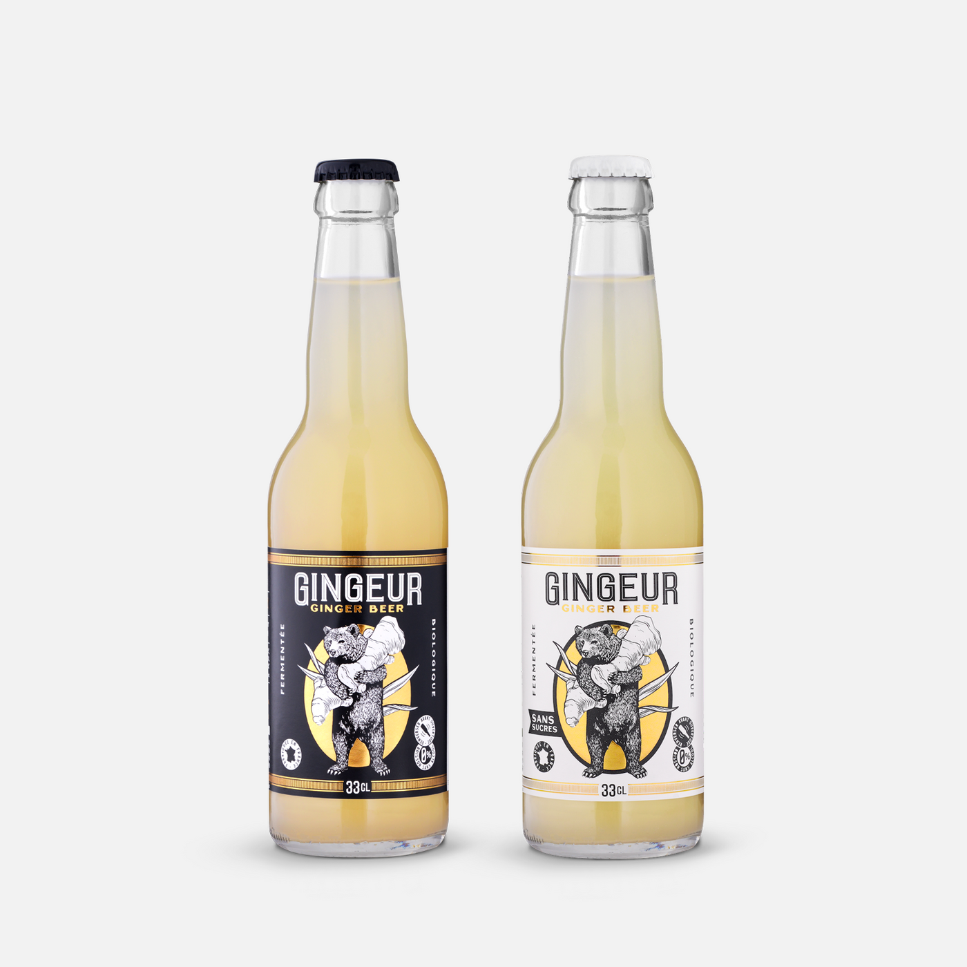 GINGEUR Ginger Beer Pack Mixte - Biologique & Naturellement Fermenté - Bouteille 12x33cl - Retrait Pick-up Anglet uniquement